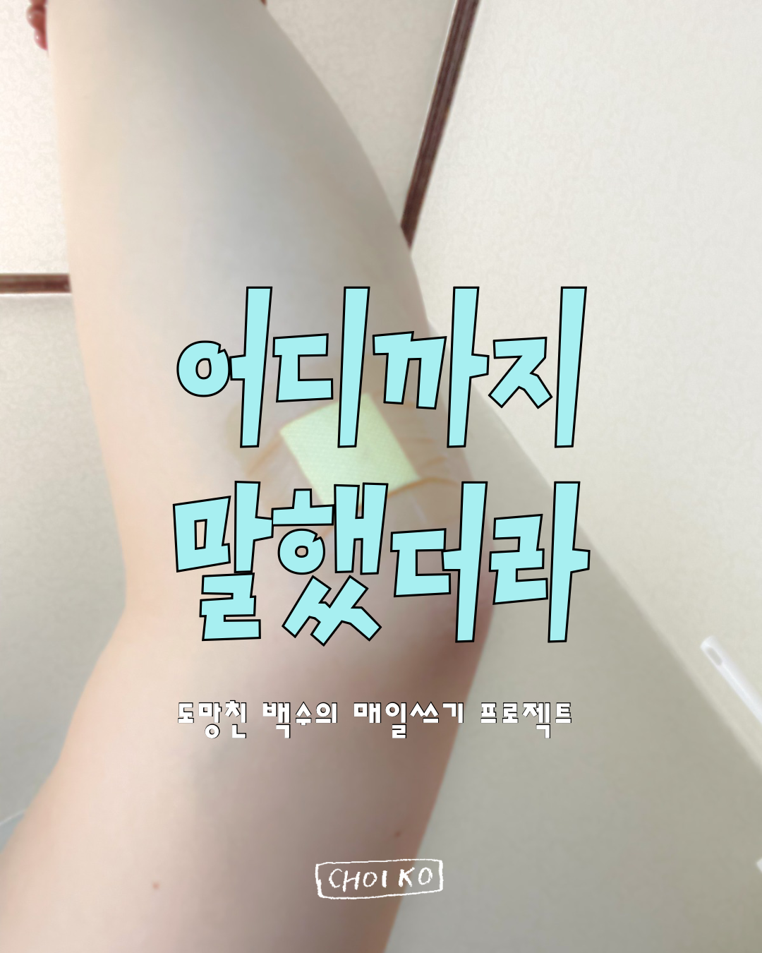 어디까지 말했더라